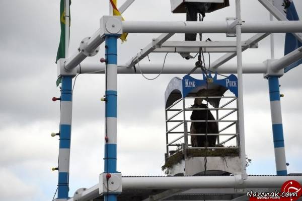 بز وحشی بز وحشی