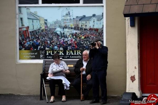 رسم عجیب بز وحشی