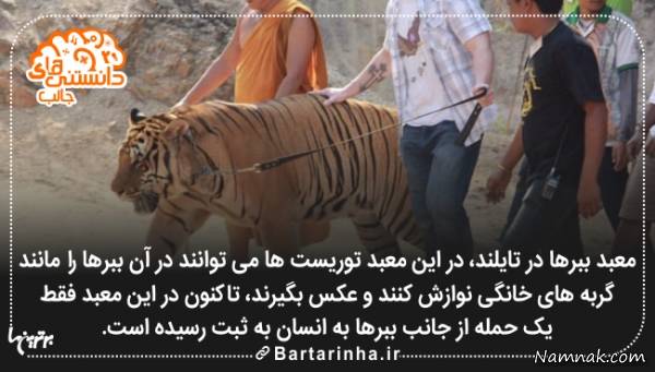 دانستنی ها