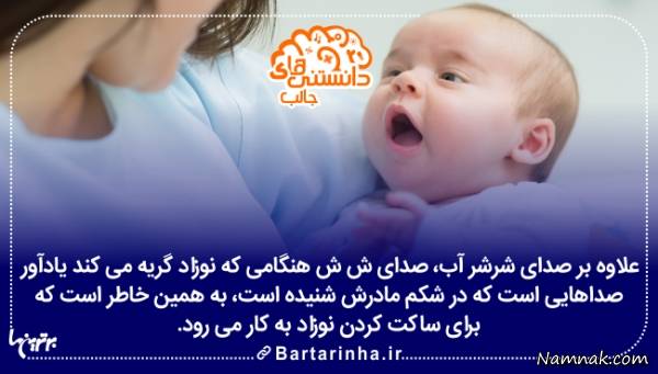 دانستنی ها