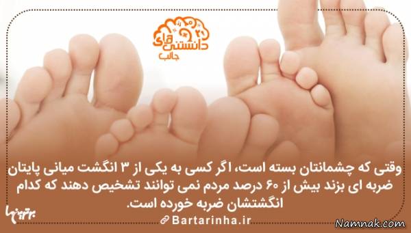 دانستنی ها