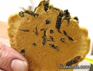 کیک زنبوری