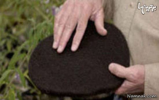 موی انسان موی انسان