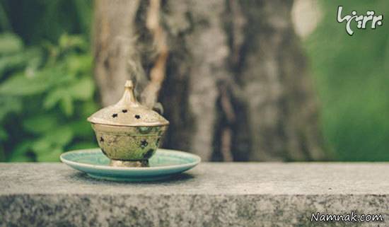 موی انسان موی انسان