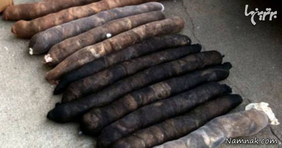 موی انسان موی انسان