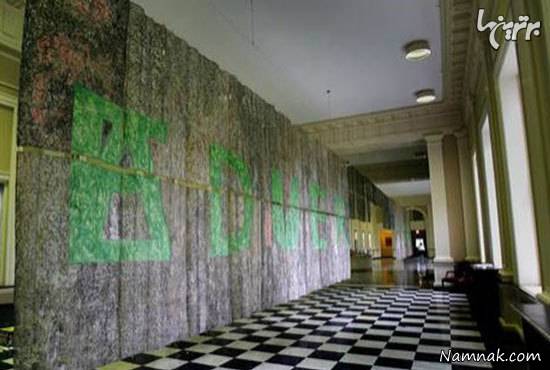 موی انسان موی انسان