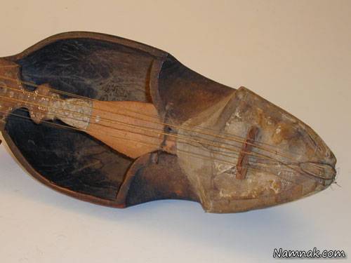 موی انسان موی انسان