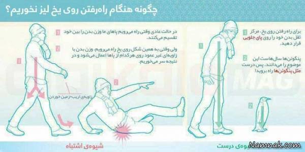 زمین یخ زده