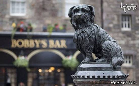 سگ های وفادار