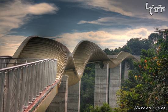 عجیب ترین پل های جهان