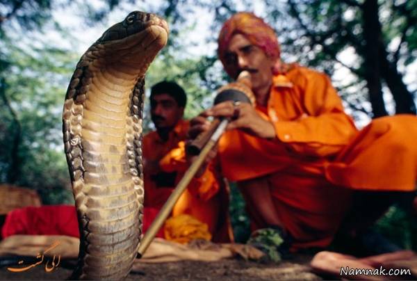 عجیب ترین مدارس عجیب ترین مدارس