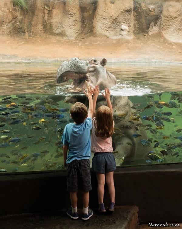 عجیب ترین مدارس عجیب ترین مدارس