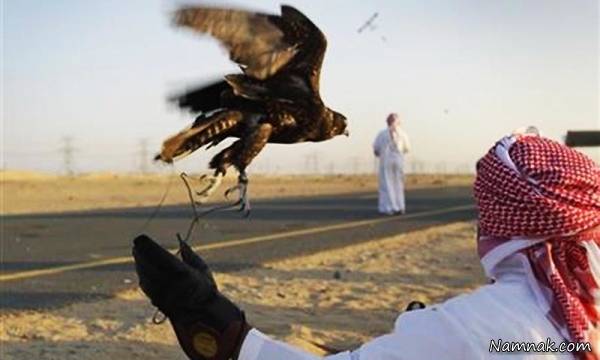 جوانان سعودی