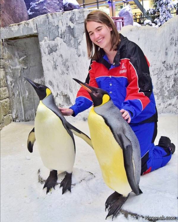 رکورد جهانی