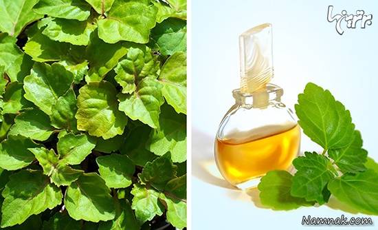 گرانترین مایعات جهان