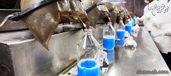 گرانترین مایعات جهان