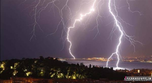 مرگ عجیب غازها غاز