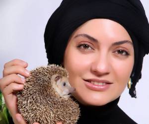 مهناز افشار