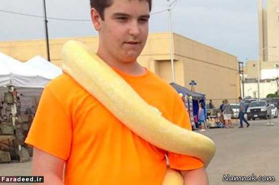 مارگزیدگی مارگزیدگی