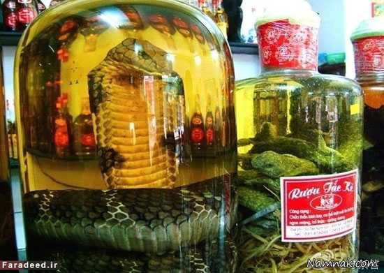 خودکشی با مارگزیدگی مارگزیدگی