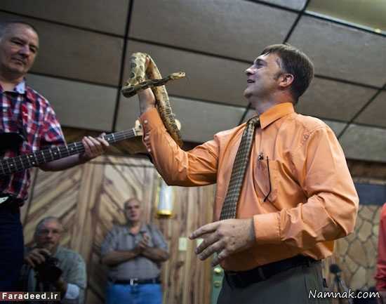 مارگزیدگی مارگزیدگی