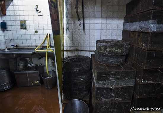 سوپ عجیب سوپ مار