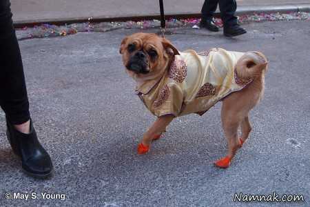 مسابقه عجیب