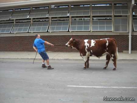 مسابقه عجیب