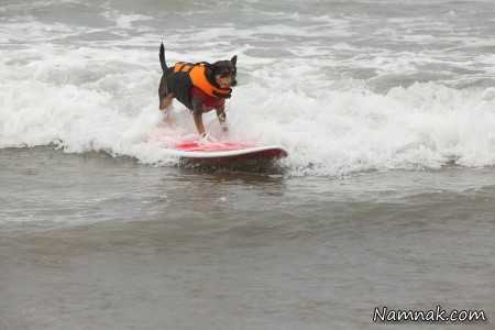 مسابقه عجیب