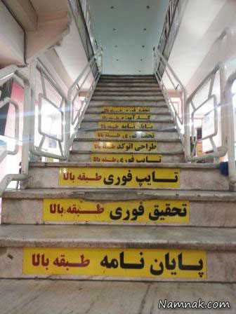 عکس جالب عکسهای خنده دار