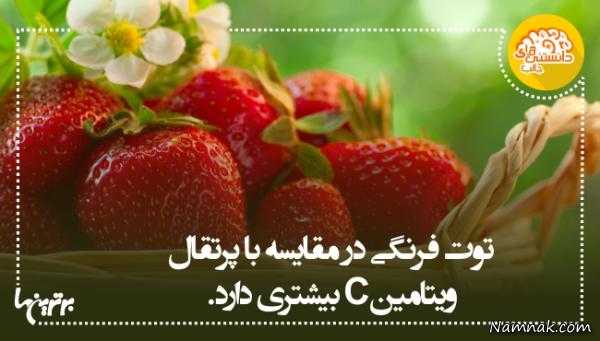 دانستنی های جالب