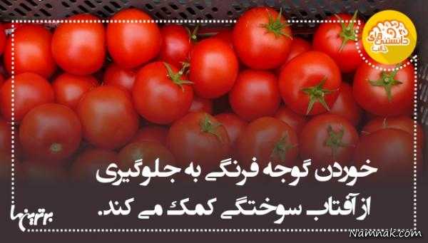 دانستنی های جالب