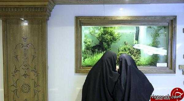 پل عابرپیاده