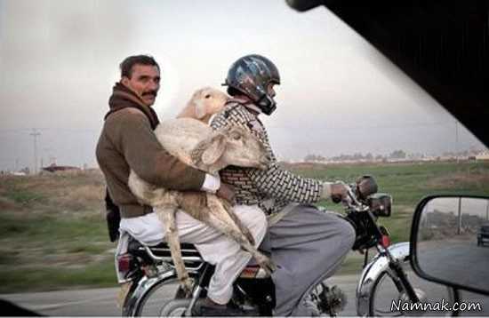 عکسهای خنده دار