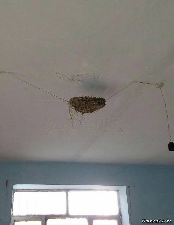 عکسهای خنده دار