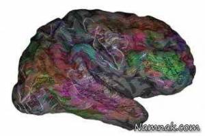 ذخیره لغات در ذهنتان