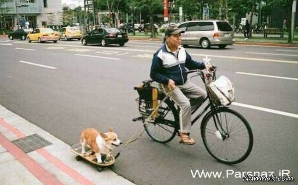 عکسهای خنده دار