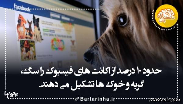 دانستنیها
