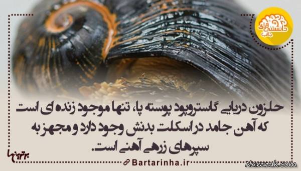 دانستنیها