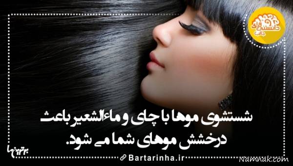 دانستنیها