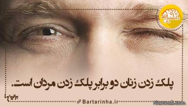 دانستنیها