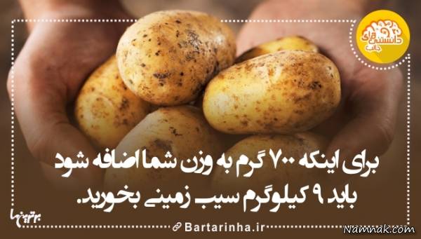 دانستنیها
