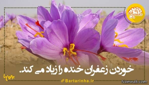دانستنیها
