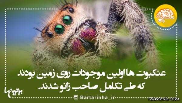 دانستنی های جالب