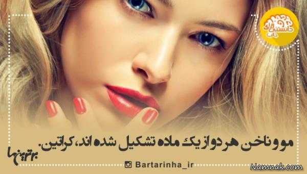 دانستنی های جالب