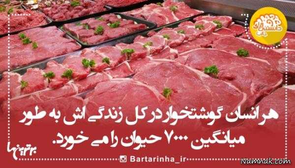 دانستنی های جالب