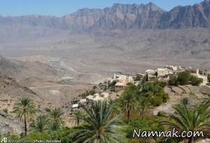 روزه