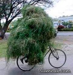 عکس های خنده دار