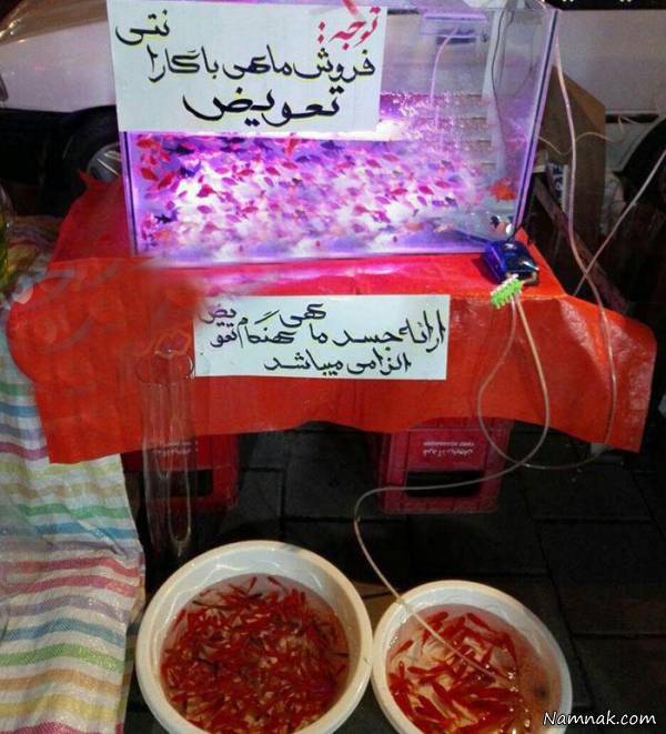 عکسهای خنده دار