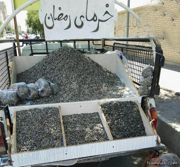 عکسهای خنده دار